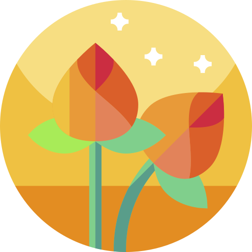 lotus-flower (1)